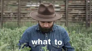 What to